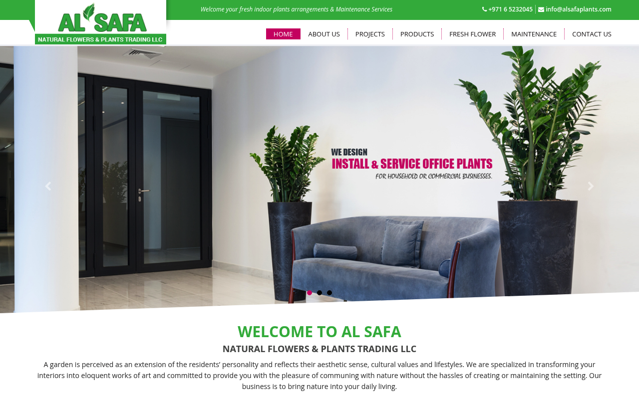 Al Safa Natural Flowers & Plants Trading